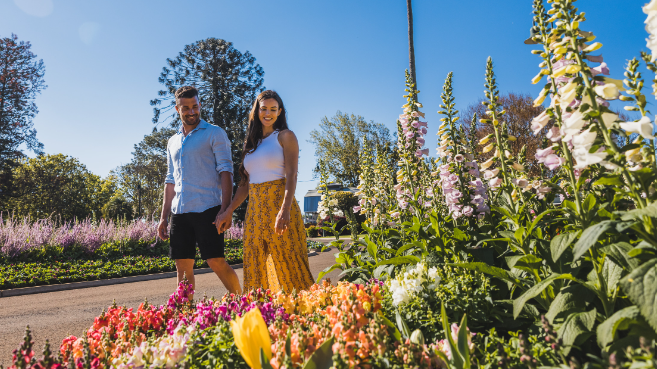 Thumbnail for Bloom town: Toowoomba lures first home buyers away from Brisbane
