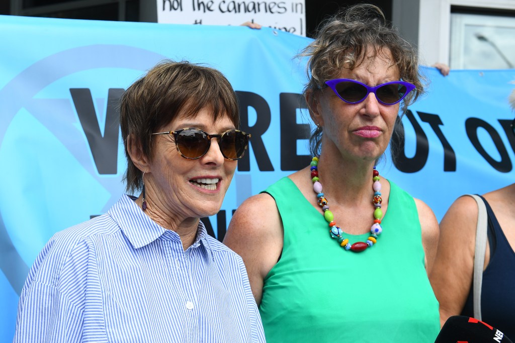 Thumbnail for Wife of integrity review boss in court on obscure charge over Parliament protest