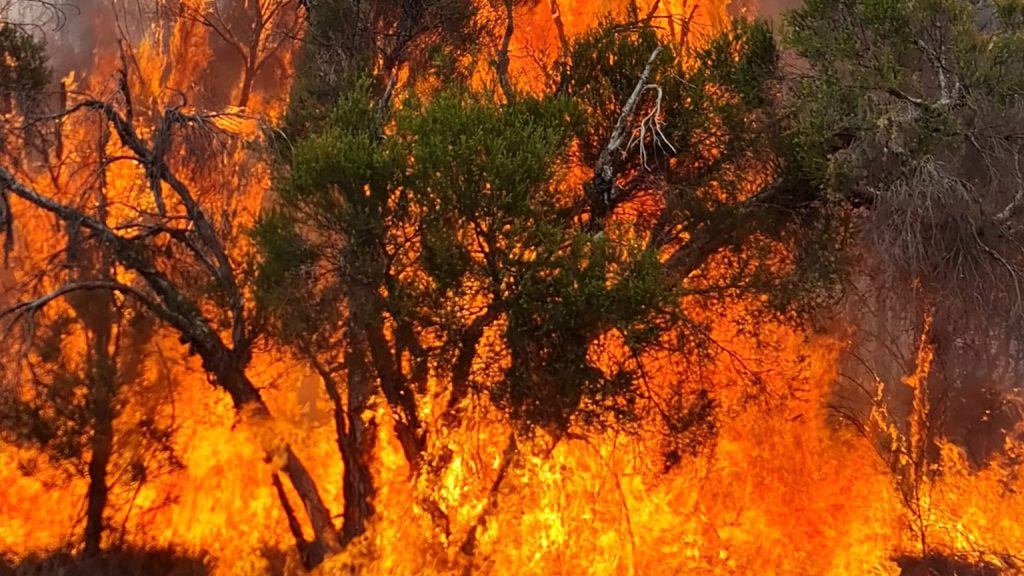 Thumbnail for Warning to ‘leave immediately’: Bushfire threat flares again on Western Downs