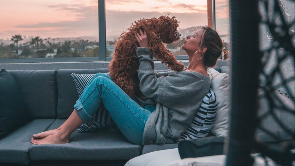 Thumbnail for Pooch power: Body corporate law reforms to prevent blanket bans on pets