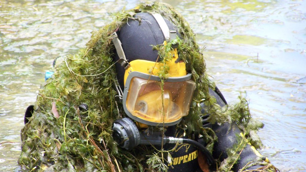 Thumbnail for Weevil genius: The plan to conquer monster weed that’s taking over our lakes