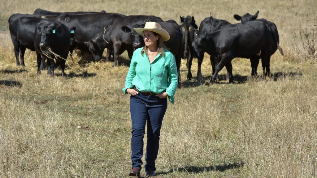 Thumbnail for Keen to be green, but farmers need help to jump knowledge gap