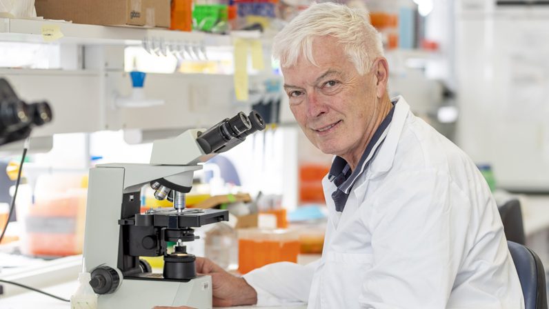 Griffith researchers are close to solving the mystery surrounding some forms of Strep infection. (Image:  Supplied)