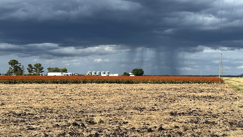 Thumbnail for Floods shut down mining as south east braces for weekend deluge