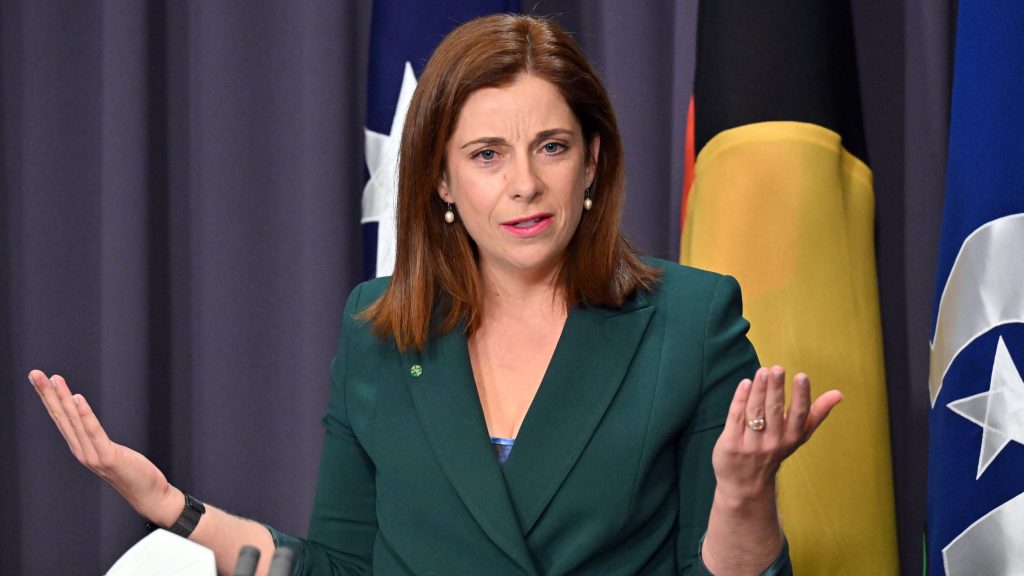 Minister for Aged Care Anika Wells at a press conference at Parliament House in Canberra. (AAP Image/Mick Tsikas) 