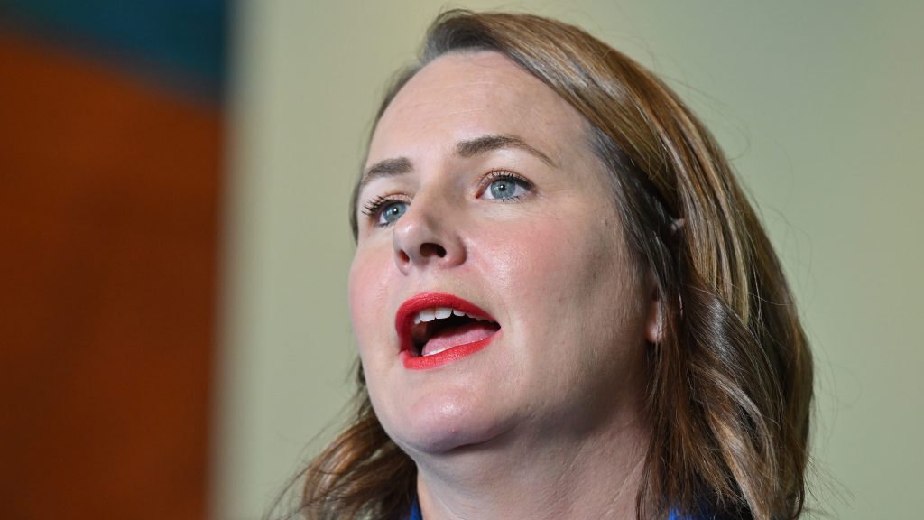 Labor senator Nita Green at a press conference at Parliament House in Canberra, Tuesday, March 7, 2023. (AAP Image/Mick Tsikas) 