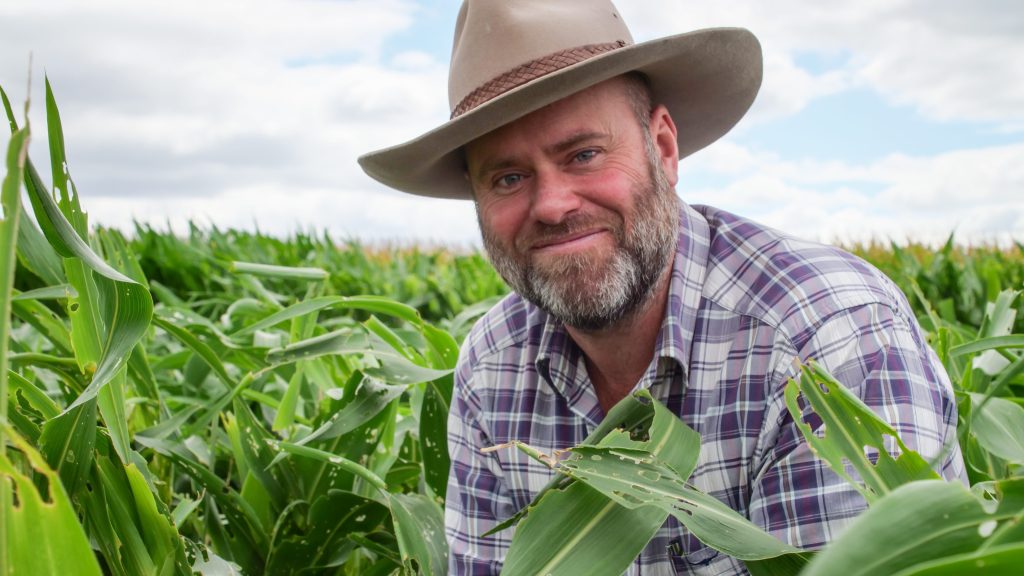 Thumbnail for How Queensland is putting the bite on a damaging pest