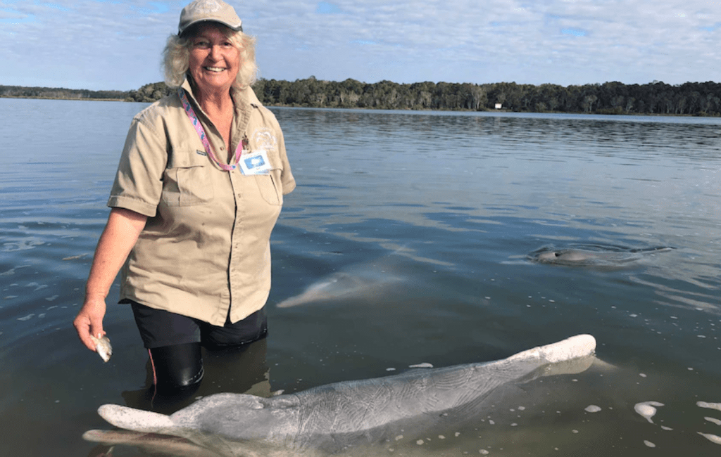 Thumbnail for Scales of justice: How phone footage earned a fine for fisherman feeding dolphins