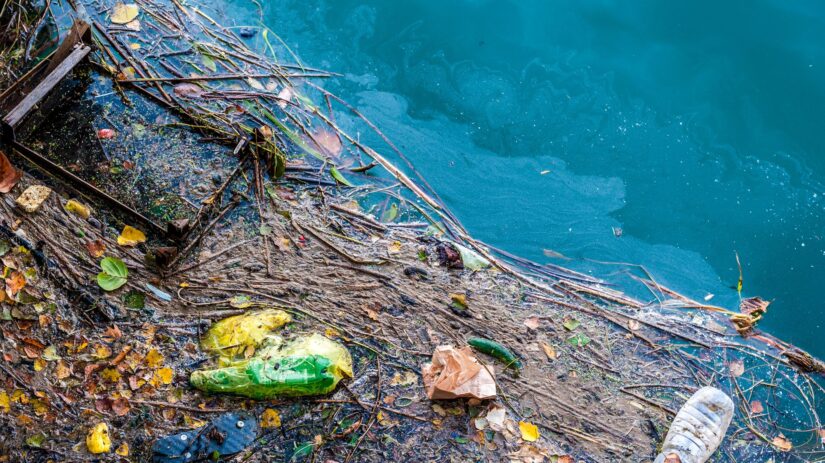 Thumbnail for Crash in the trash: Coastal critters at home on Great Pacific Garbage Patch