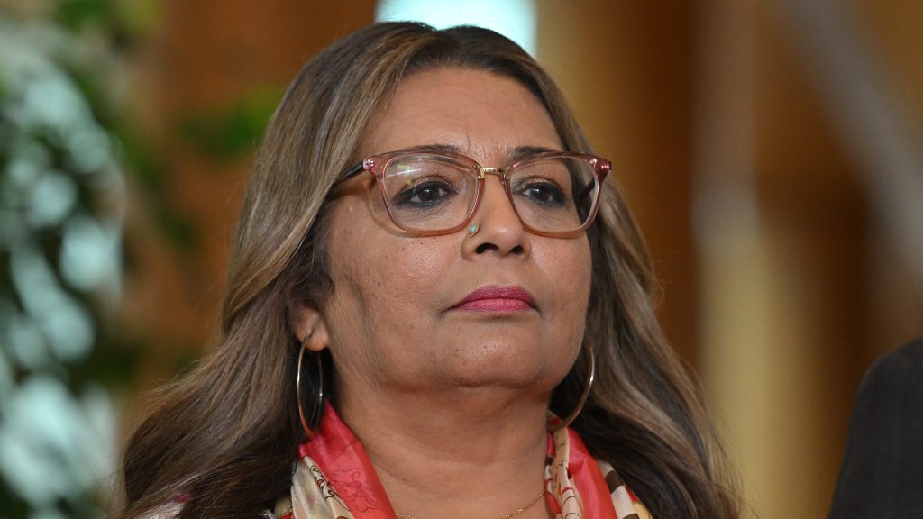 Greens Senator Mehreen Faruqi at a press conference at Parliament House in Canberra, Tuesday, March 21, 2023. (AAP Image/Mick Tsikas) 