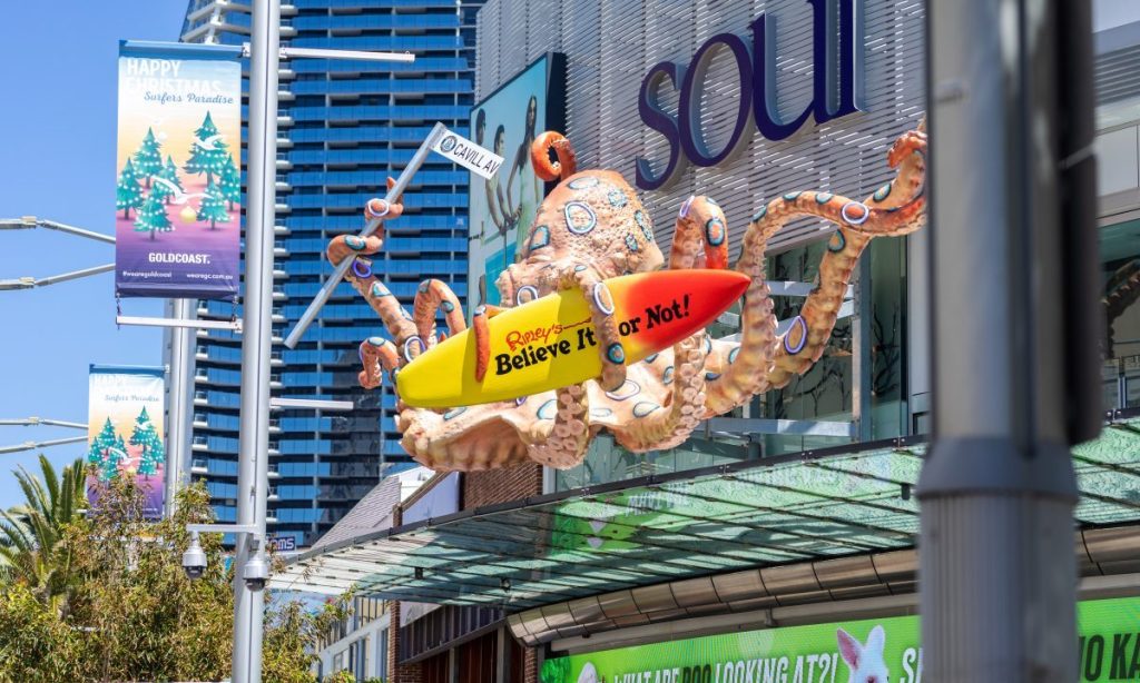 Thumbnail for Life is a roller coaster for this Nerang business