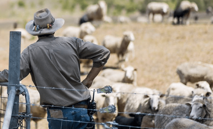 Thumbnail for Hold on tight: Australian farm land staying in local hands like never before