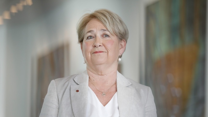 Greens senator Barbara Pocock (Image: ABC)