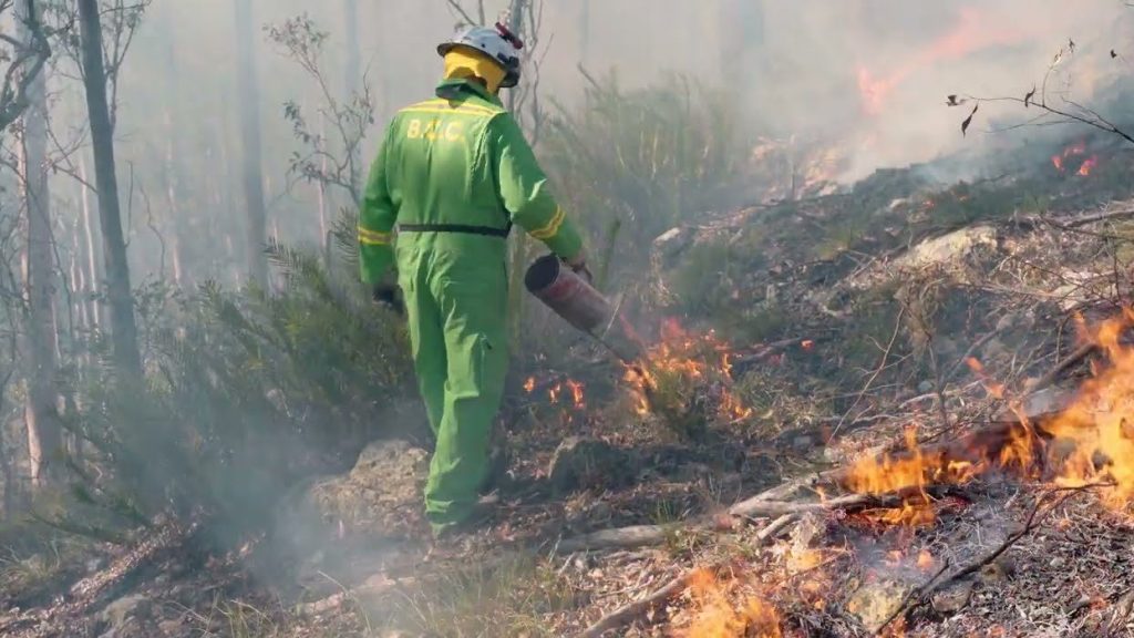 Thumbnail for Burn off blues: Brisbane battles smoke blanket beneath sunny skies
