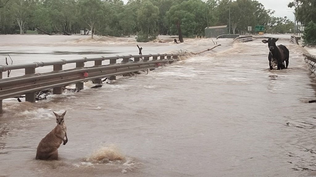 Thumbnail for Sorry, but El Nino won’t stop tropical cyclones and floods, says BOM