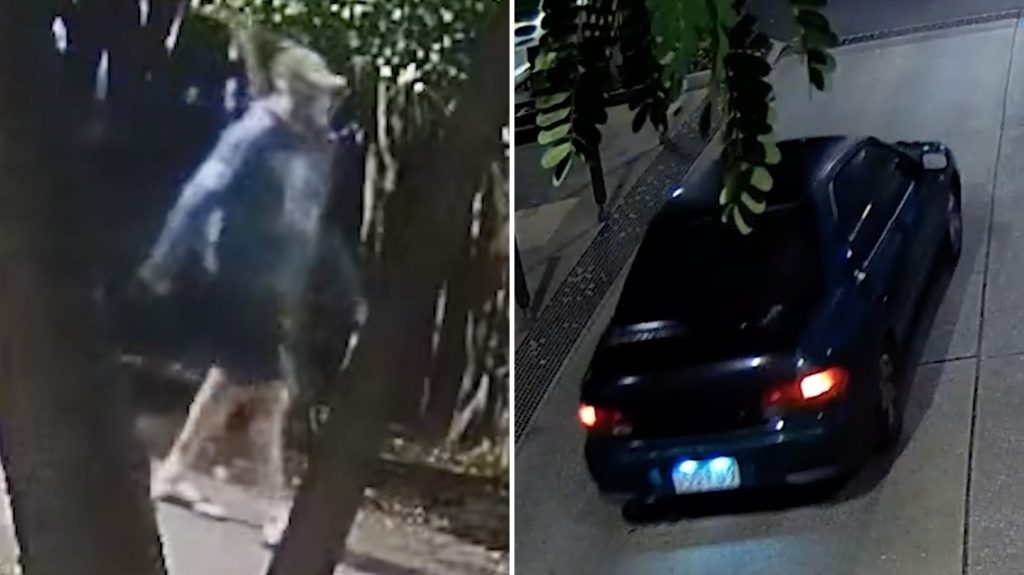 Thumbnail for Police turn to security cameras, witnesses for clues to fatal Noosa bashing