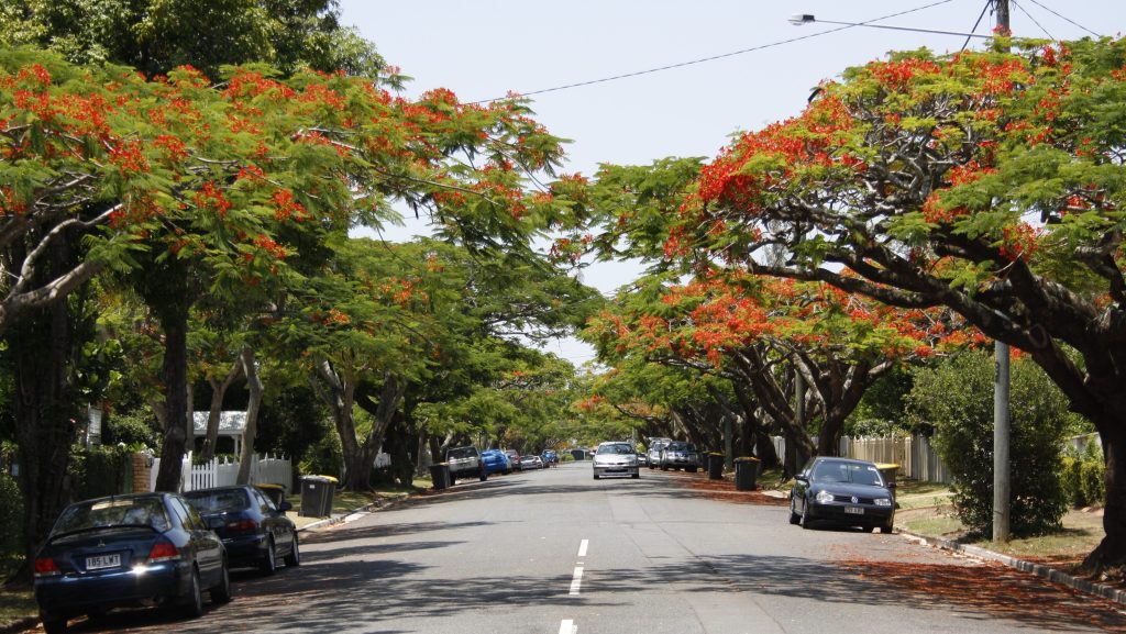 Among Brisbane's expensive suburbs, Ascot appears to be a standout with a falling rent.