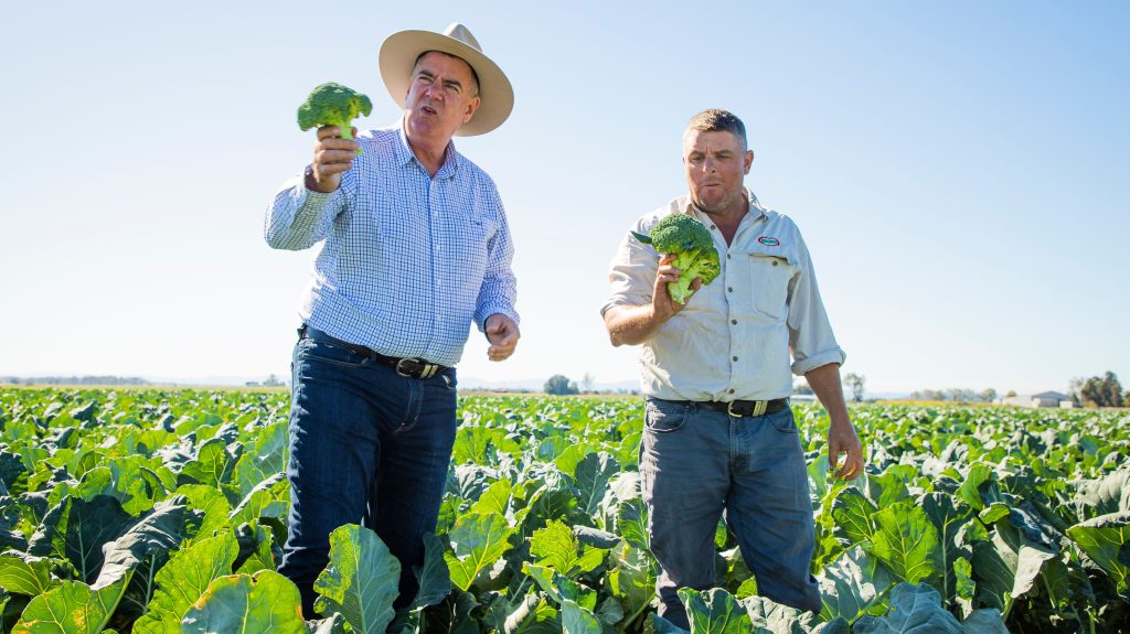 Thumbnail for Farm sector breaks records but forecasts point to a drop