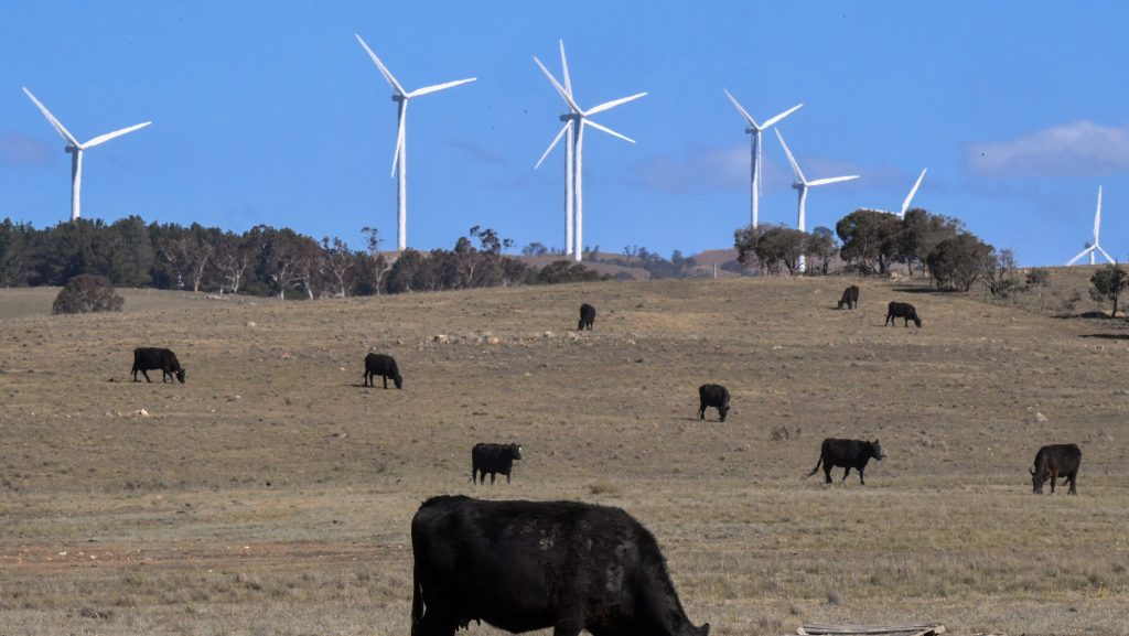 Thumbnail for Review to crack down on wind farms to curb noise, visual impacts