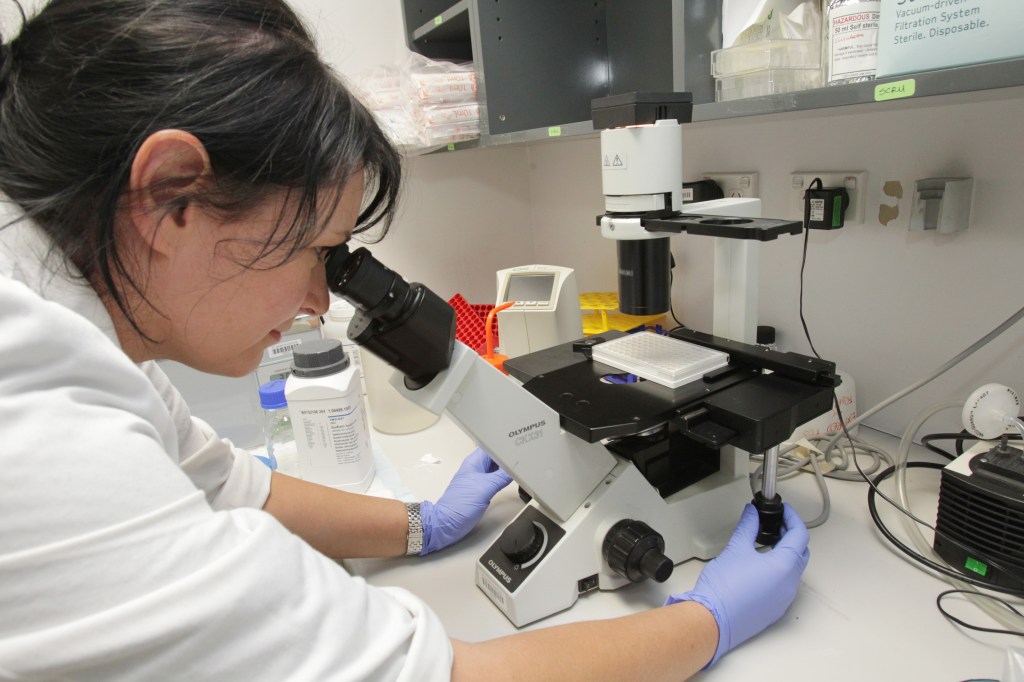 A scientist works in a medical lab at St Vincent's Institute in Melbourne, Tuesday, May 14, 2013. (AAP Image/David Crosling) NO ARCHIVING