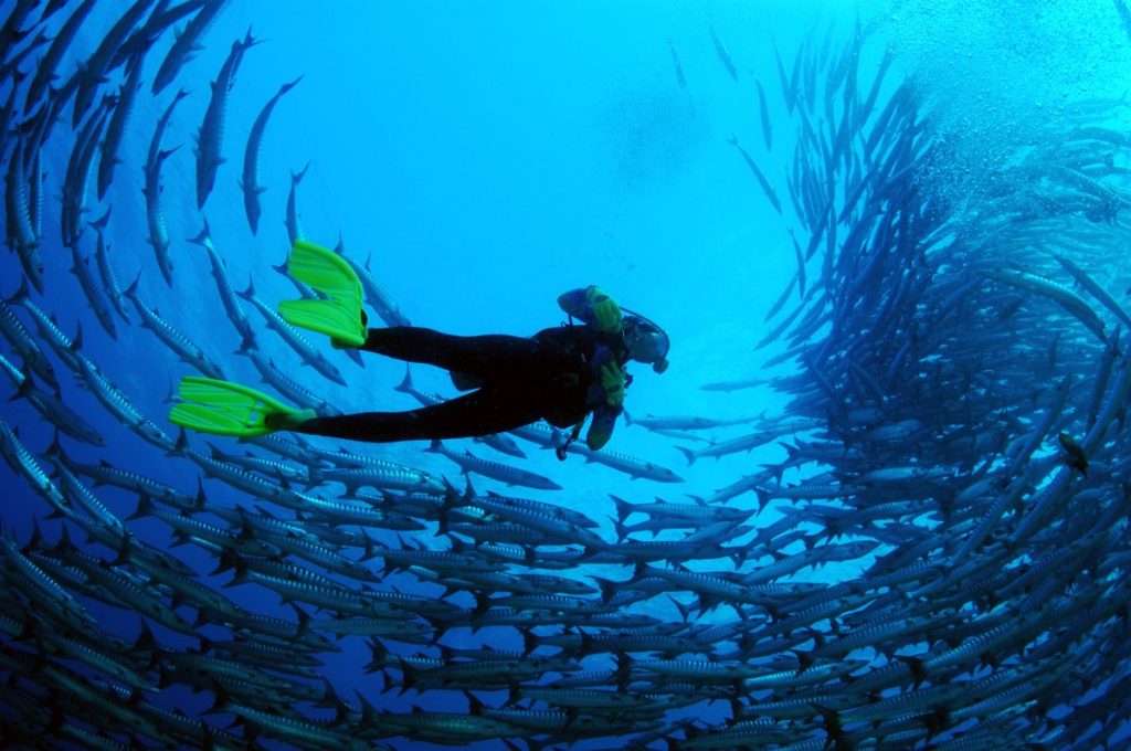 Thumbnail for UN turns up the heat on Australia’s climate change targets in bid to save Reef