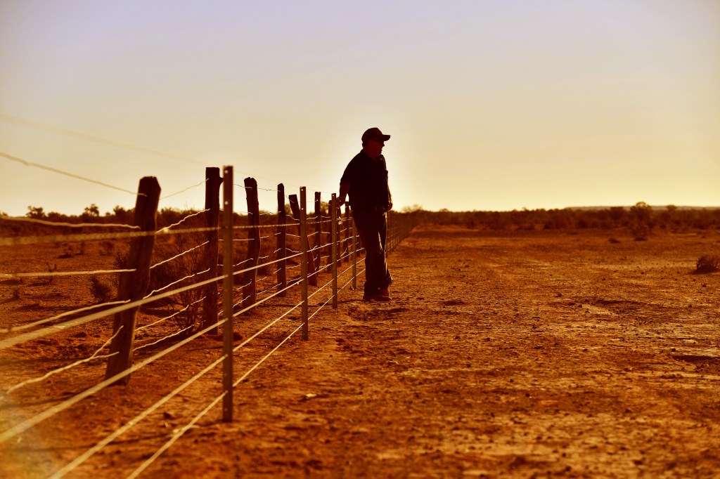 Thumbnail for Farmer wants a lifeline: Budget to include $500m drought relief