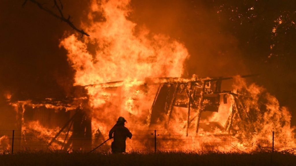 The Sunshine Coast Council will use AI to prevent bushfires this summer. (AAP Image/Dan Himbrechts) 