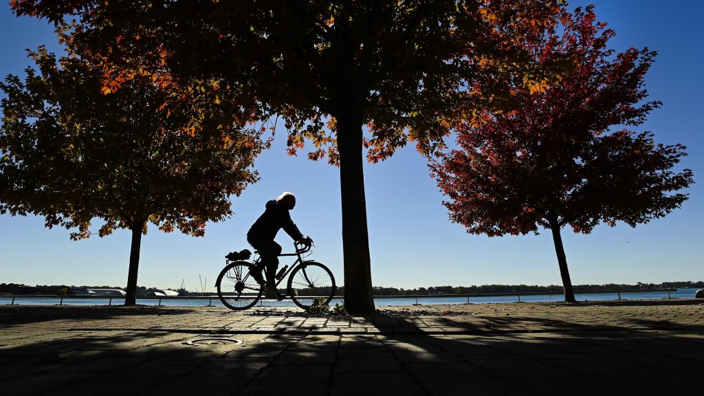 The growing number of Australians seeking a quieter life beyond the city is no flash in the pan. (Nathan Denette/The Canadian Press via AP)