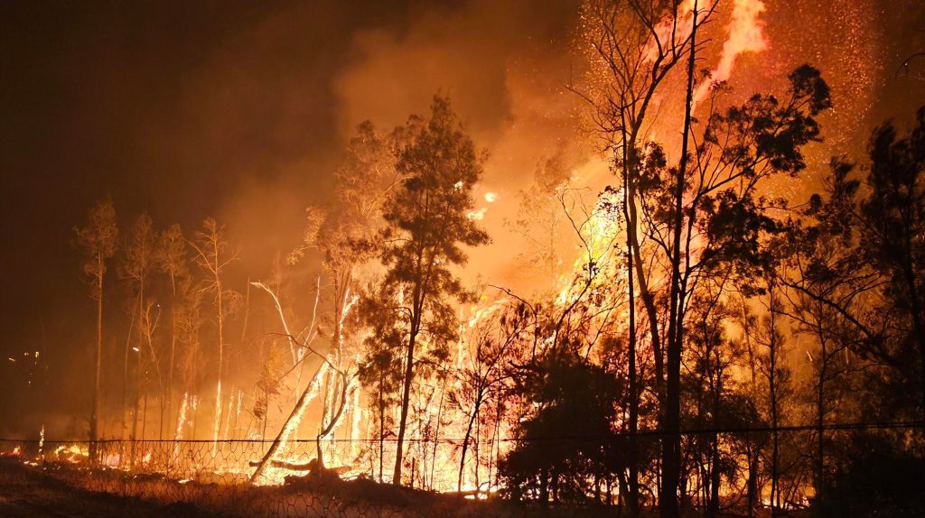Thumbnail for Most of state under total fire bans as temps soar and blazes rage