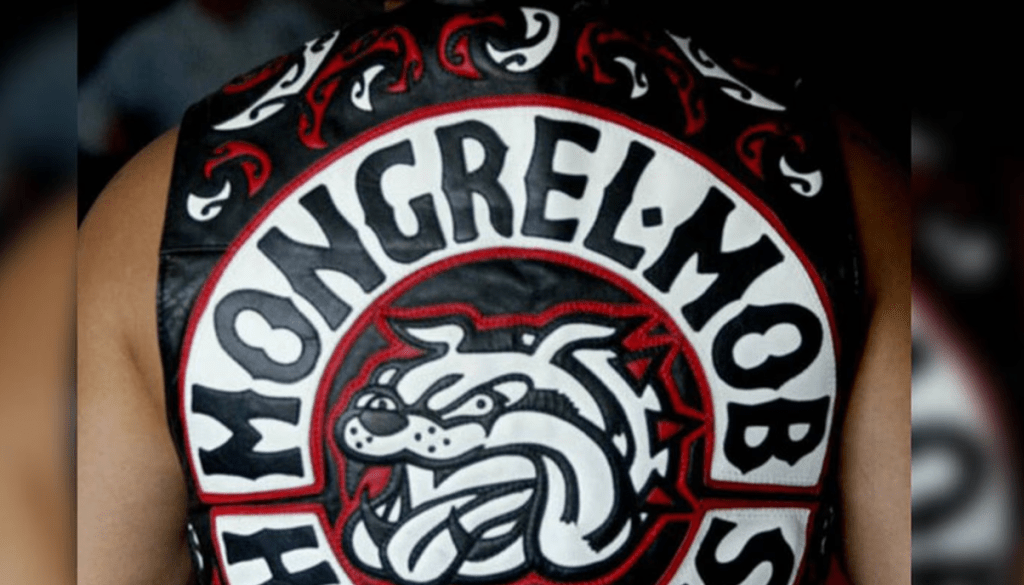 Thumbnail for The company you keep: Ex-bikie joined home invasion, assault, now ‘wants to do better’