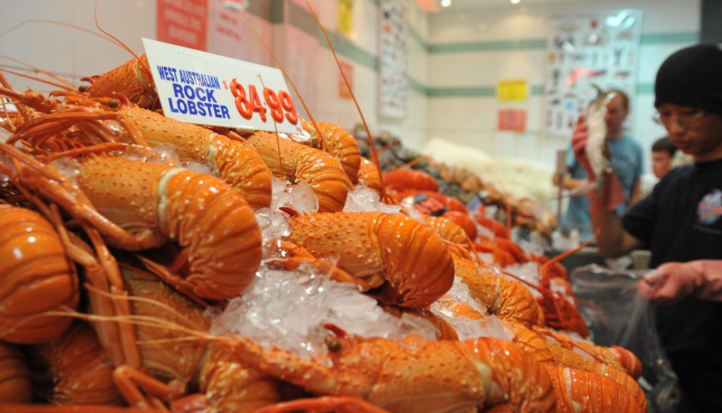Rock lobster on display at the Sydney Fish Marke. The Trade Minister is hopeful that sales to China might resume before Christmas. (AAP Image/Joel Carrett) 
