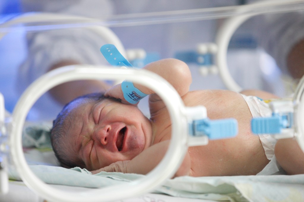 Thumbnail for Eight billion humans: World’s population passes milestone despite falling birth rate