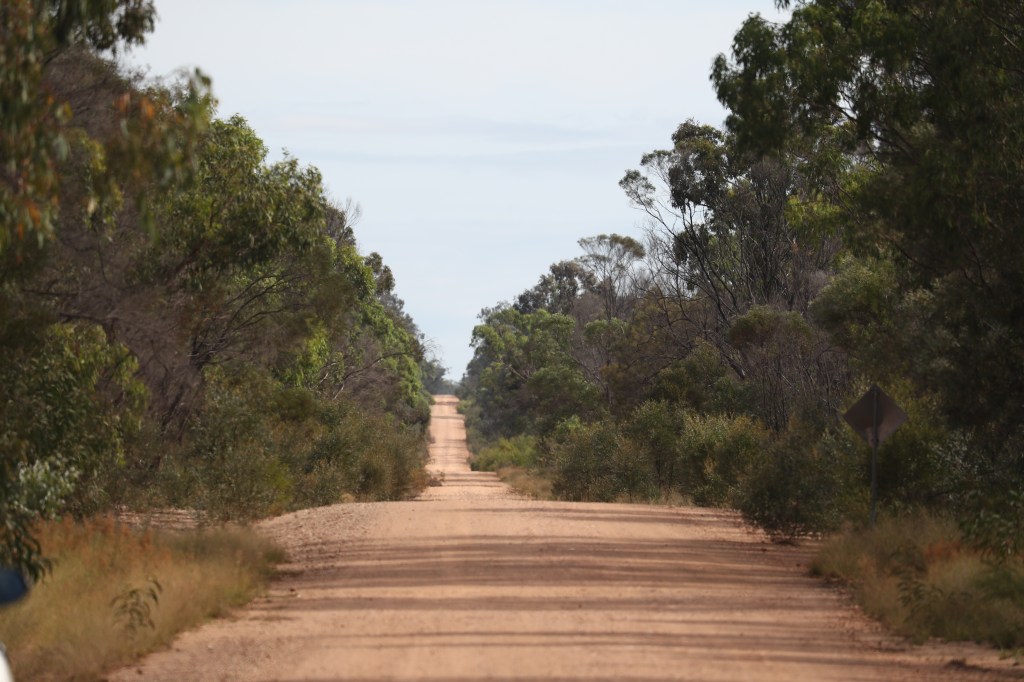 A dirt road near Wieambilla on the Western Downs (AAP Image/Jason O'Brien)