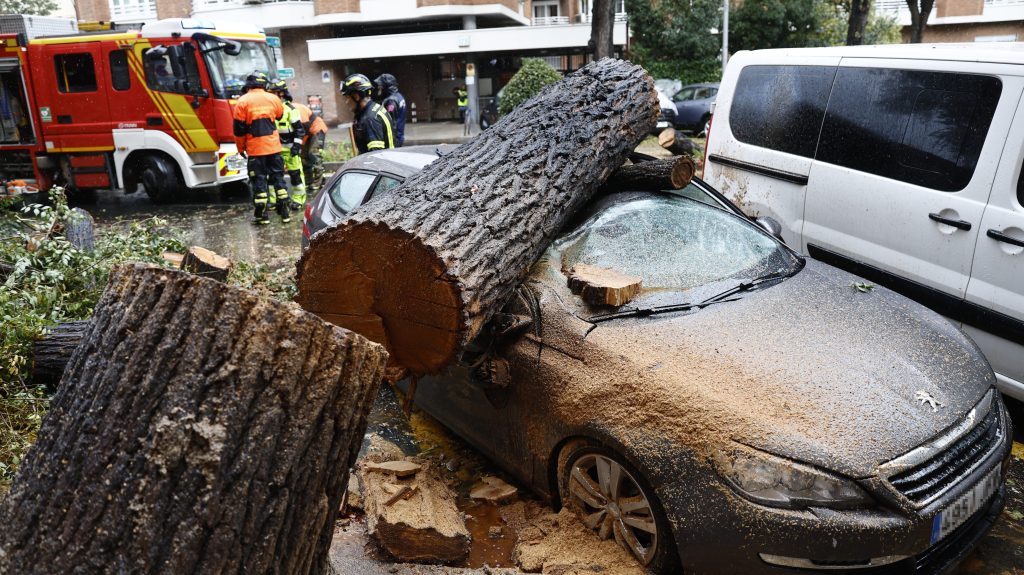 Thumbnail for Storm Ciaran lashes Europe, at least six dead