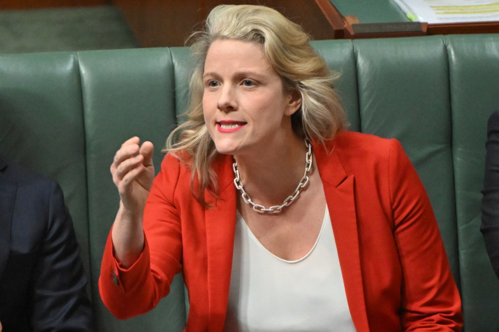 Thumbnail for New laws before parliament will ‘treat asylum seekers like terrorists’
