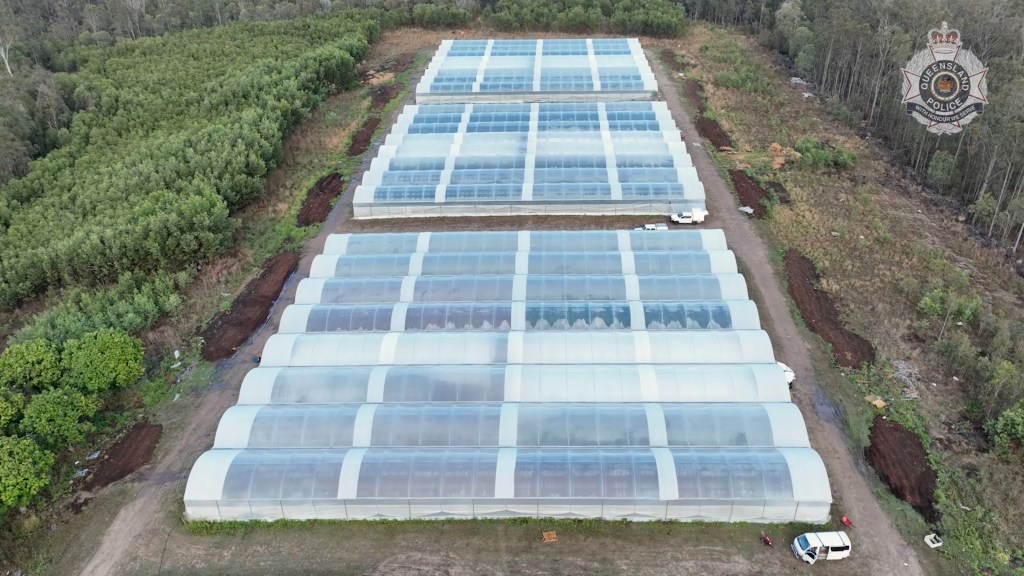 Thumbnail for Police make $60m seizure of cannabis, cash, trucks and tractors on Fraser Coast