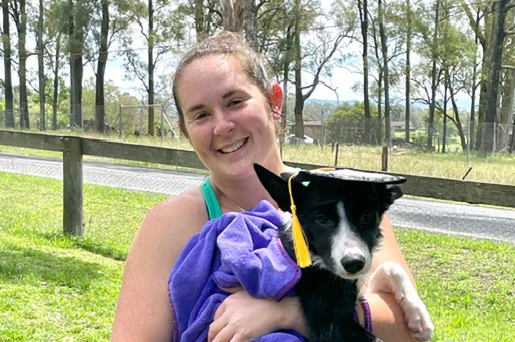 Thumbnail for How the flying kangaroo may end up in court thanks to this scruffy border collie