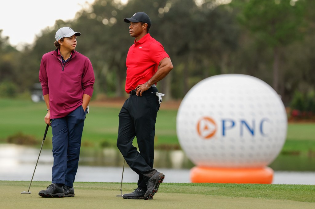 Thumbnail for A tiger and his cub: Even sport’s best and brightest have a soft spot for their kids’ success