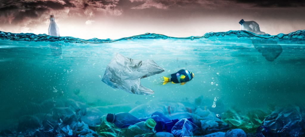 Thumbnail for Griffith-led CRC attracts $140 million to tackle plastic waste