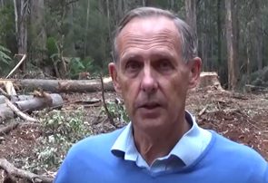 Thumbnail for Arrested at anti-logging protest, Brown’s still Green after all these years