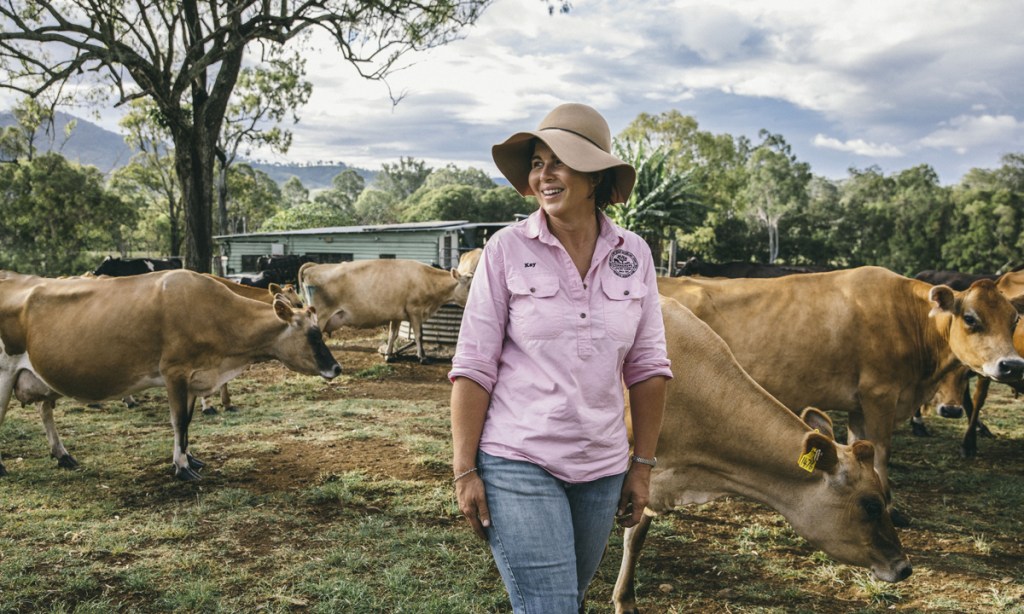 Thumbnail for At last, a win for farmers as government adopts grocery industry plan