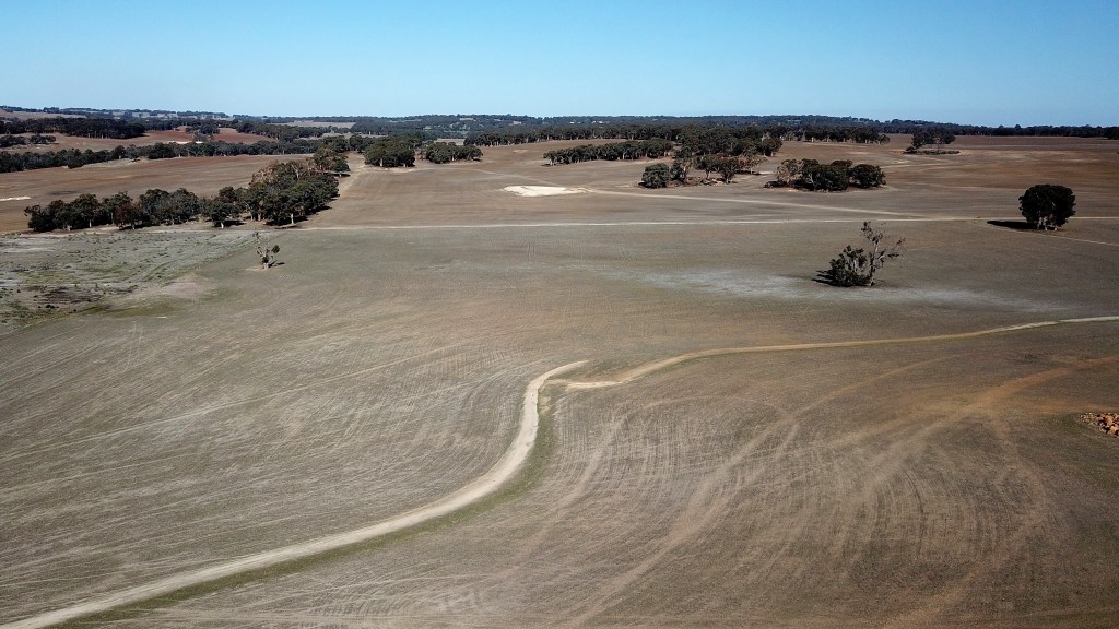 A general view of the mixed grains farm owned by the President of the Western Australian Farmers Federation Rhys Turton near York in the Wheatbelt region, 100km east of Perth on Tuesday, May 19, 2020. China today imposed an 80% tariff on barley imports from Australia. Barley usually makes up about 30% of his total crop but he will now be substituting most of his barley for other grains. (AAP Image/Richard Wainwright) NO ARCHIVING
