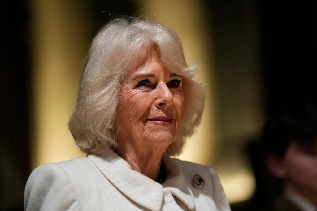 Thumbnail for Charles has first chemo, ‘doing extremely well’ says Queen – but no word on Kate