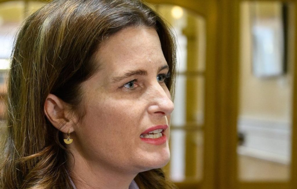 Finance Minister Nicola Willis speaking to media before question time at Parliament House in Wellington.  Treasurer Jim Chalmers met with her in Australia this week to discuss improved trade measures.  (AAP Image/ Mark Coote, Mick Tsikas) 