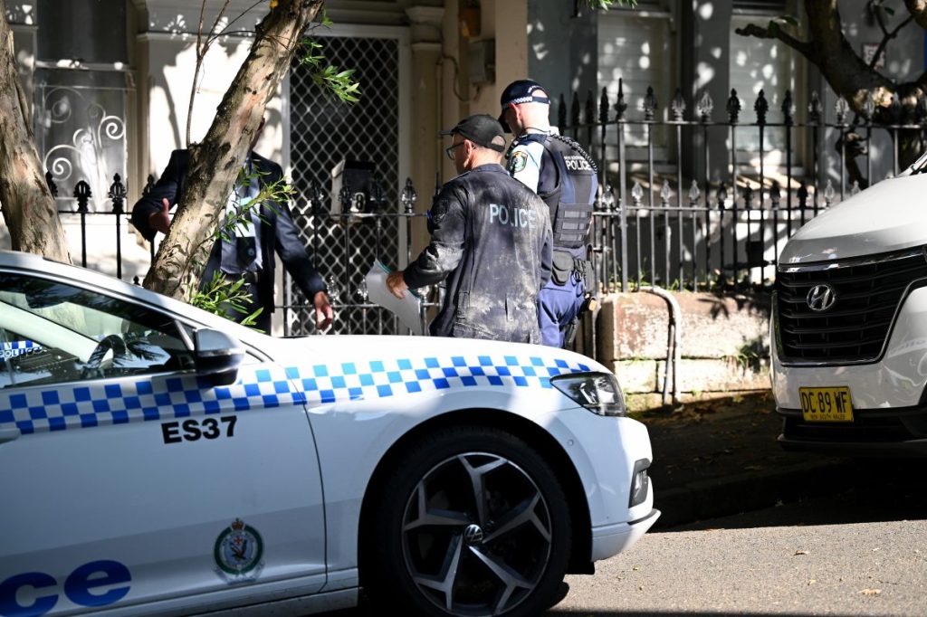 Thumbnail for Young woman who allegedly knifed her grandmother released on bail