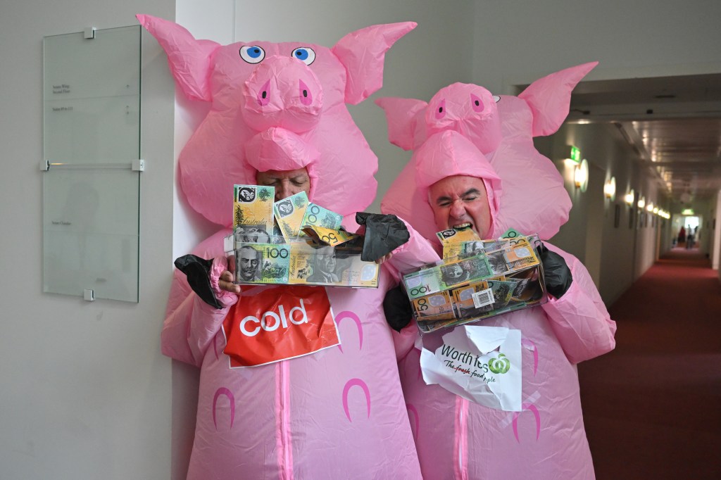 Thumbnail for Your taxpayer dollars at work: MPs dress as pigs in Parly protest at supermarket profits