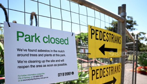 Thumbnail for Asbestos fears switch to Central Queensland after dozens exposed to contaminated mulch