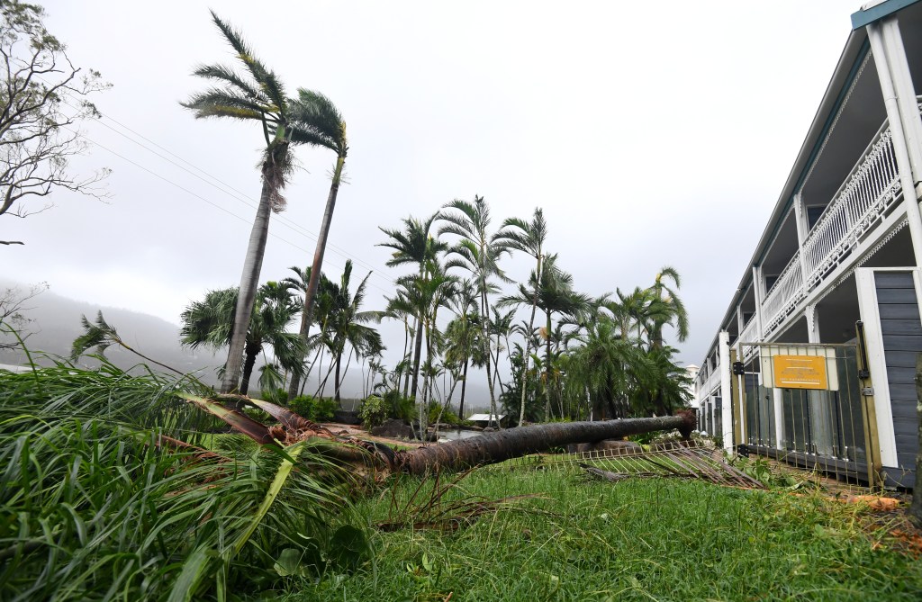 Thumbnail for Darwin gets the shakes as Cyclone Megan heads for Territory, set to intensify