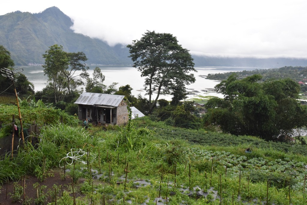 The volcanic soil of Songan Village in northeast Bali, pictured in March 2017, makes for fertile farming areas for locals but its steep mountains are high risk for landslides. 12 people died during three landslides across Bali in early February 2017. (AAP Image/Lauren Farrow) NO ARCHIVING