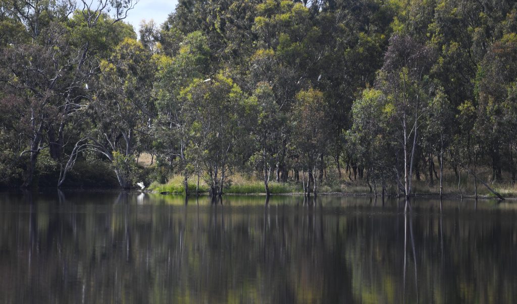 The hunt for a man missing after falling off his boat on a dam near Mackay. (AAP Image/Lukas Coch) 